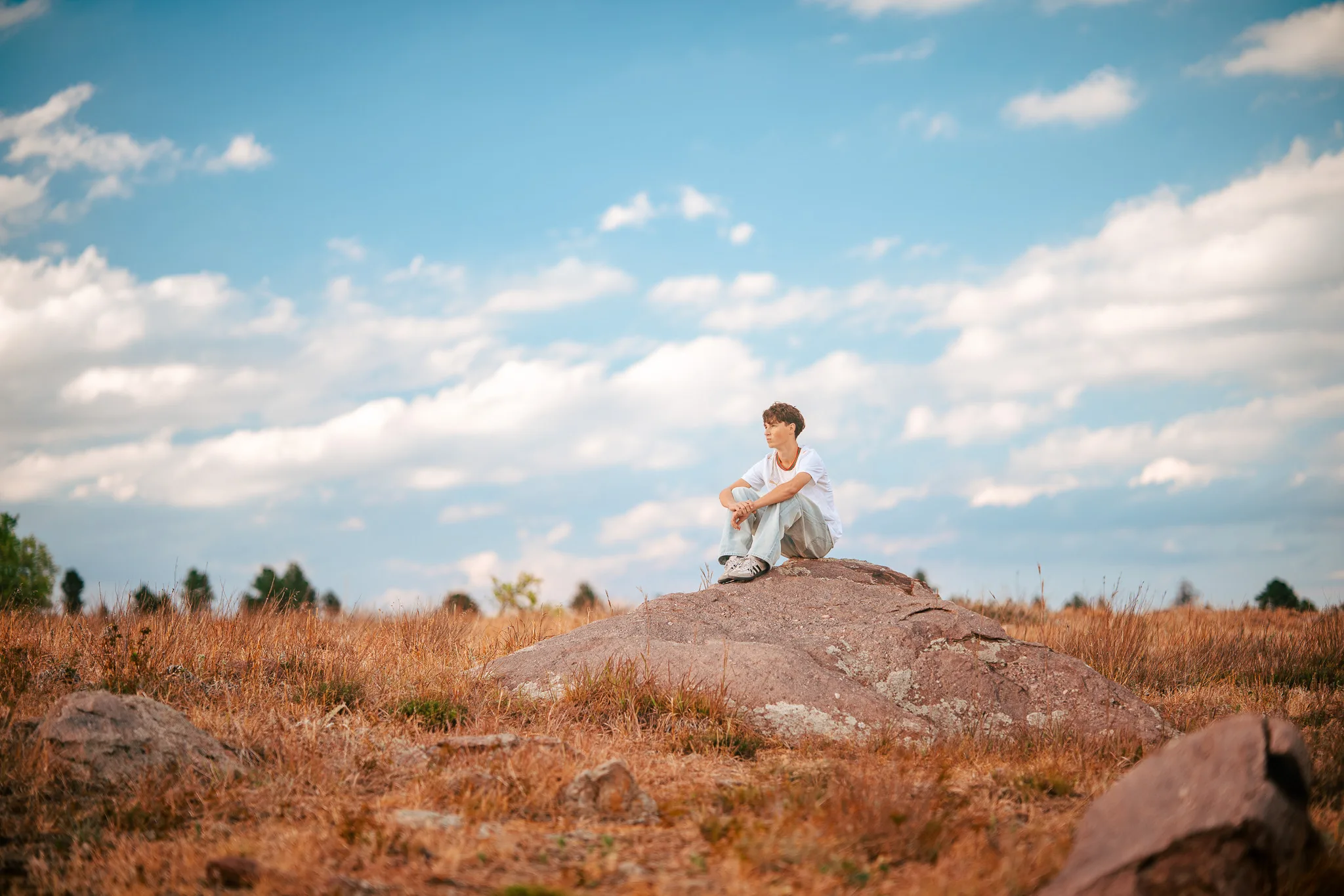 Arlo sits on a boulder in a wide golden meadow under a big blue sky and white clouds.