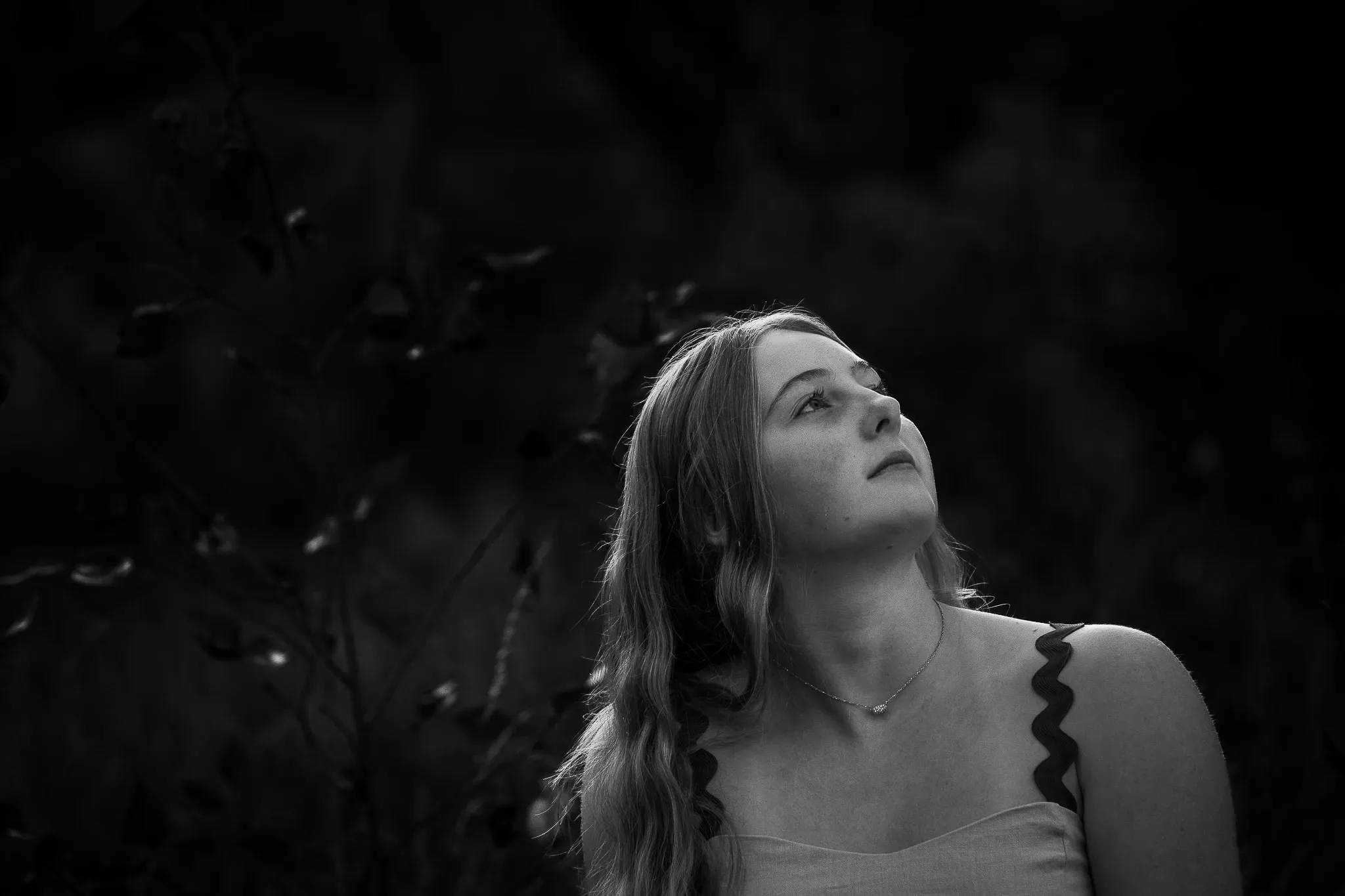 Ayla, photograph 4 of 8