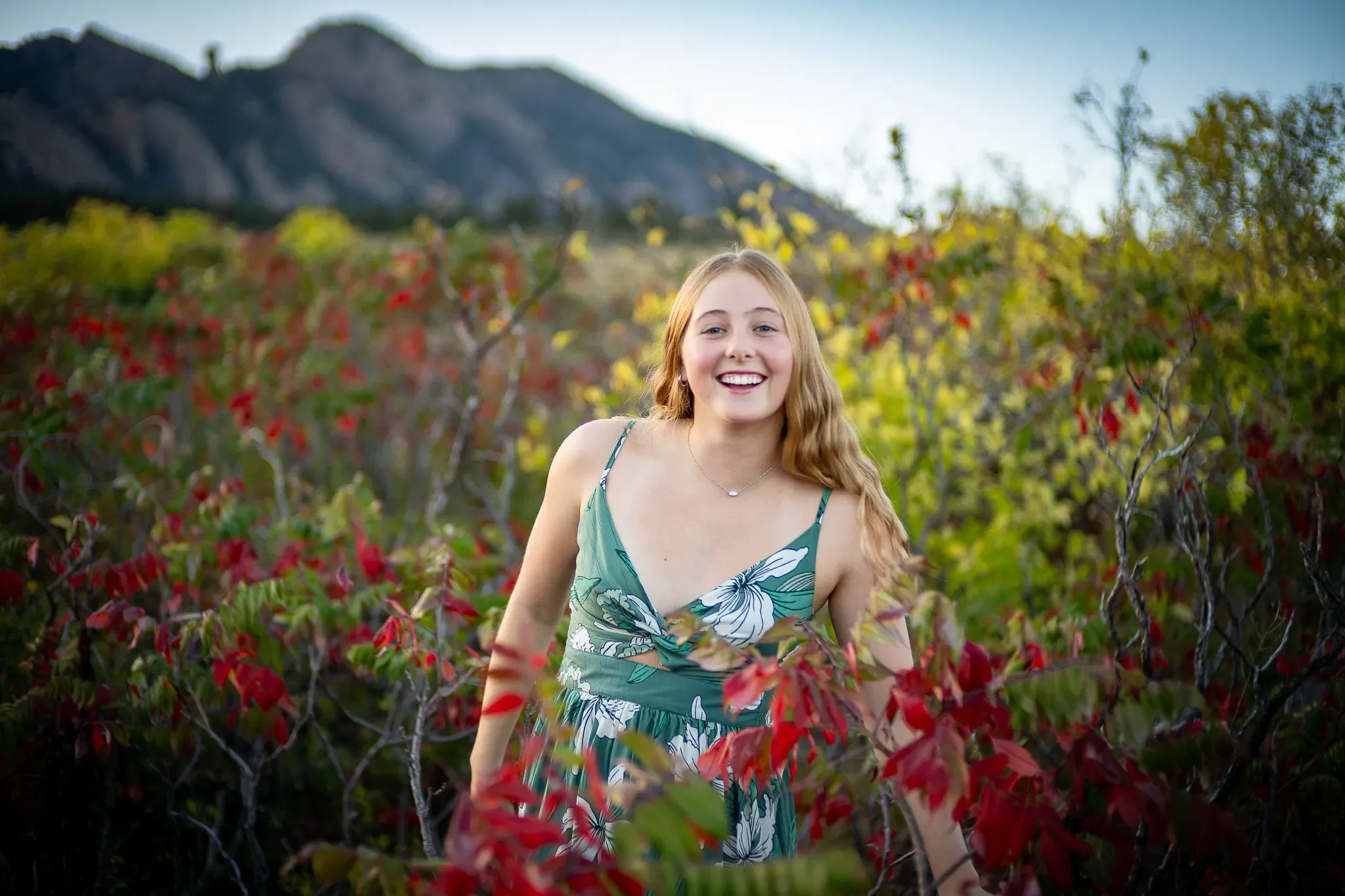 Ayla, photograph 5 of 8