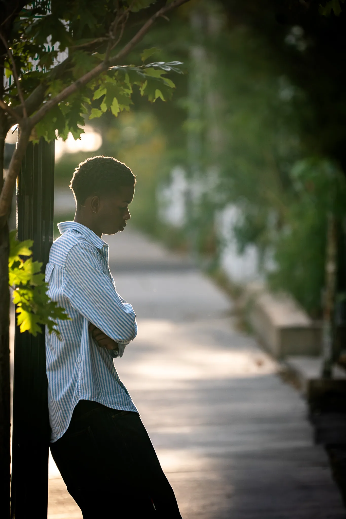 Charlie leans against a post with his arms crossed and head bowed on a tree-shaded sidewalk.
