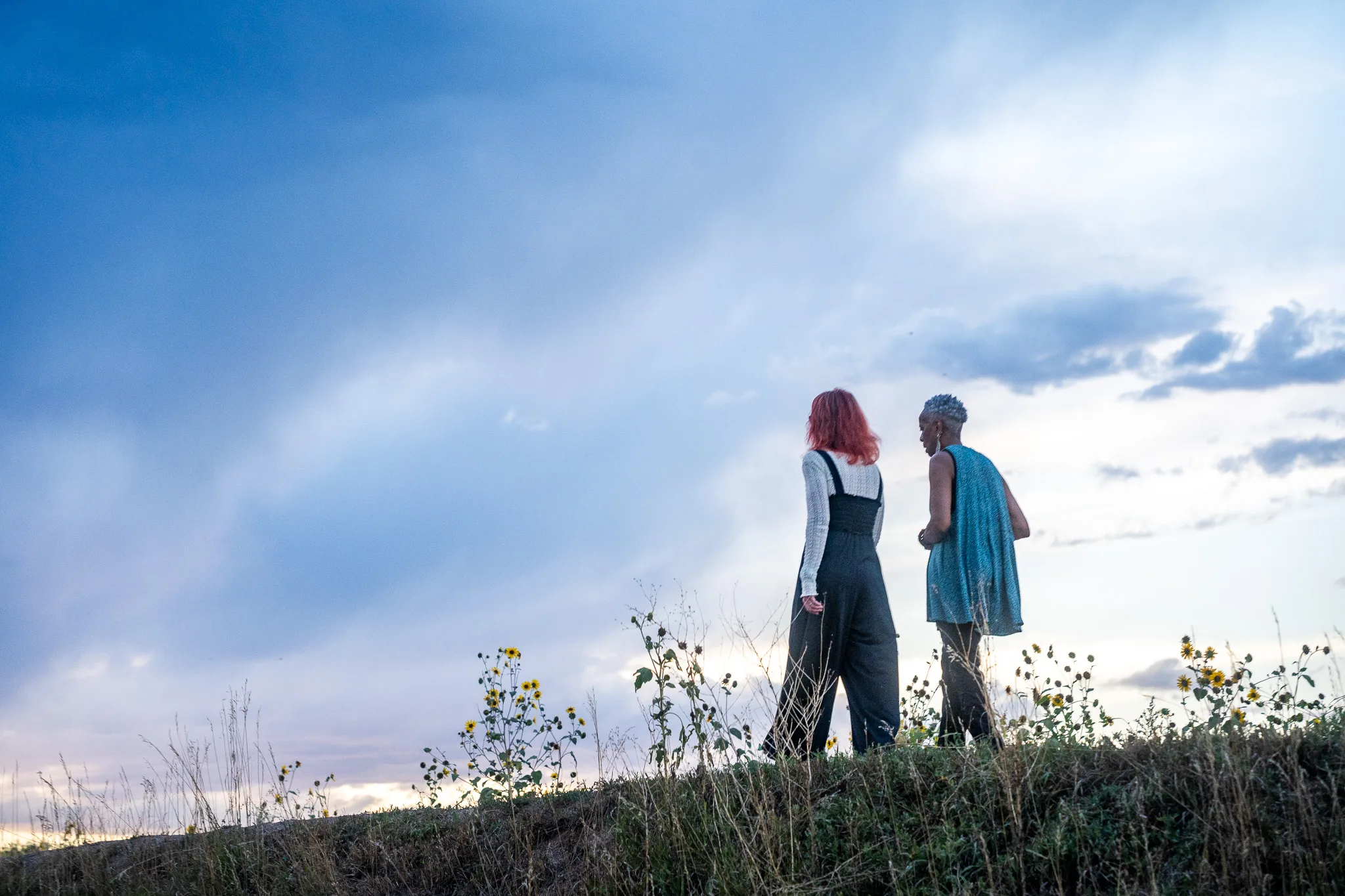 Amanda Cherry and Norma Johnson of Who Tells the Story stand talking among wild sunflowers under a dusky blue sky.